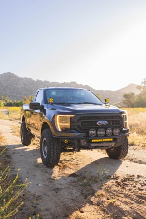 Ford F-150 Front Bumper - DV8 Offroad - Tube, Prerunner - Micro-texture black with gray skid plate accents - `21-`23
